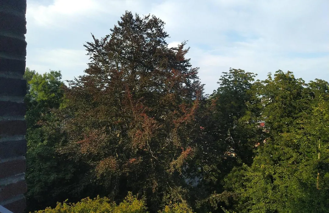 Le Domaine des Roches, auberge collective-1