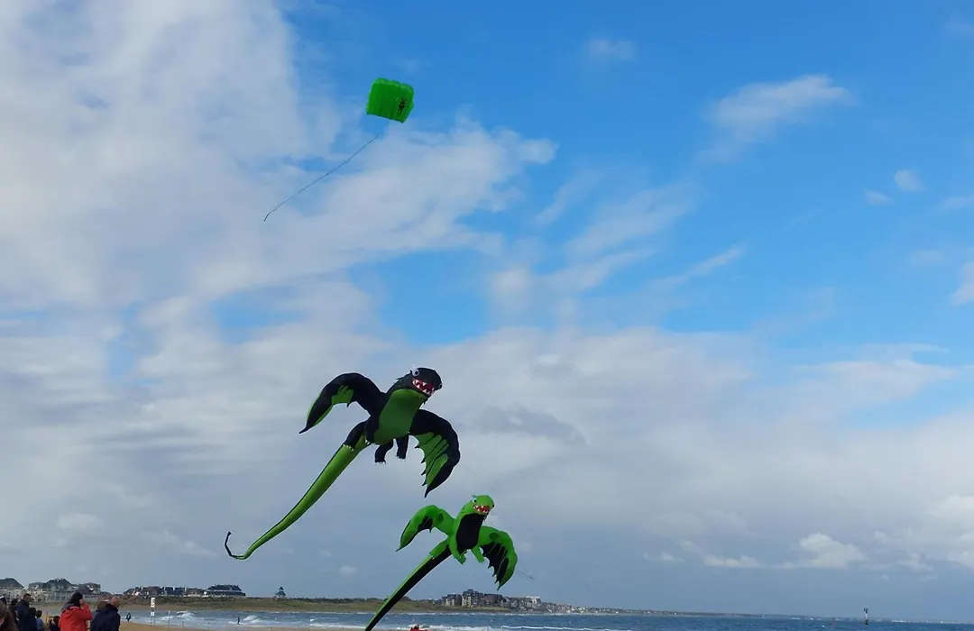 Le colibri-1