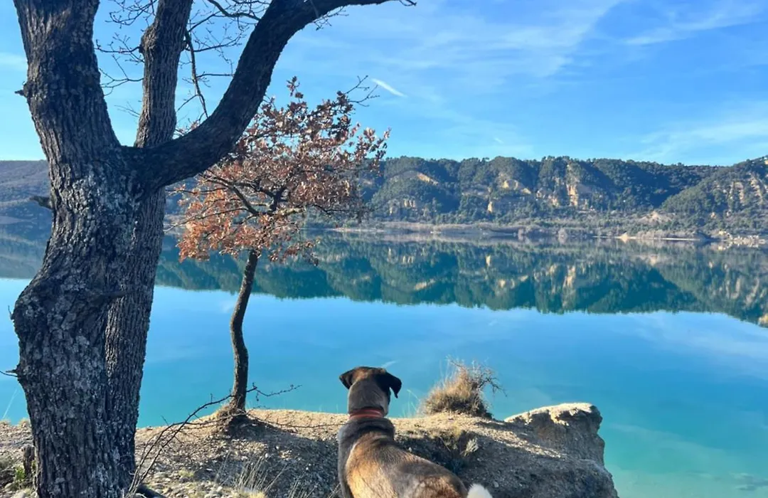 charmant appartement indépendant au sein d'un mas provençal-1