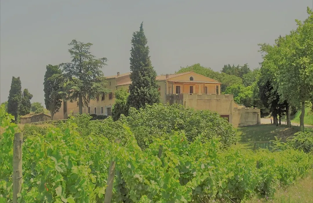 Domaine De La Petite Tour-1