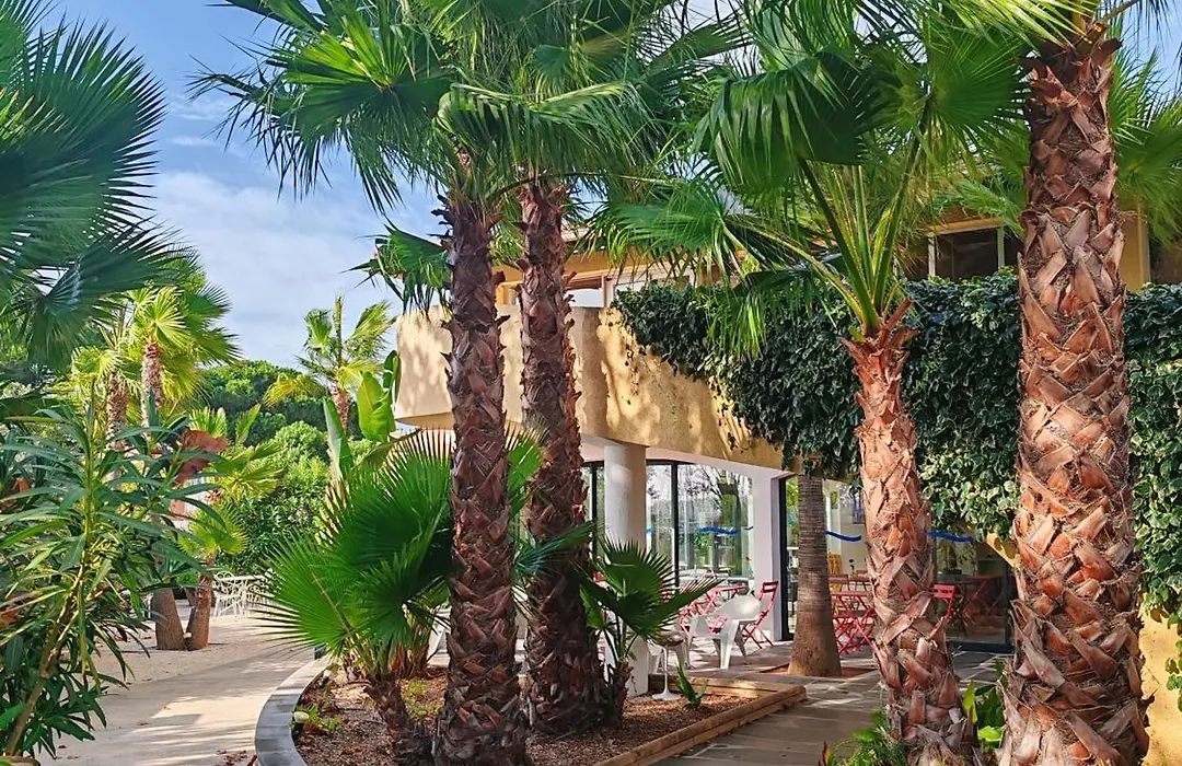 Résidence Agathéa - Esprit Hôtel - Centre Port - Cap d'Agde-1