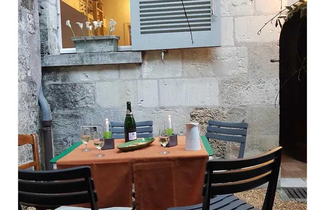 Au coeur du vieux Tours avec jardin-1