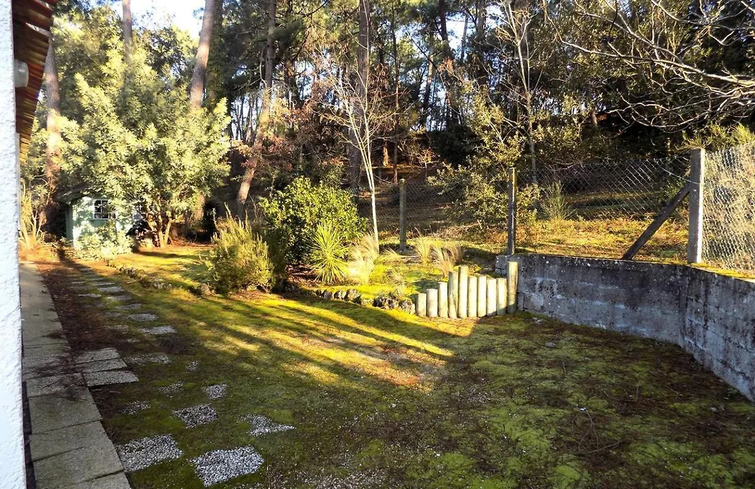 La Palmyre - Maison Individuelle - Au Calme - Proche Foret-1