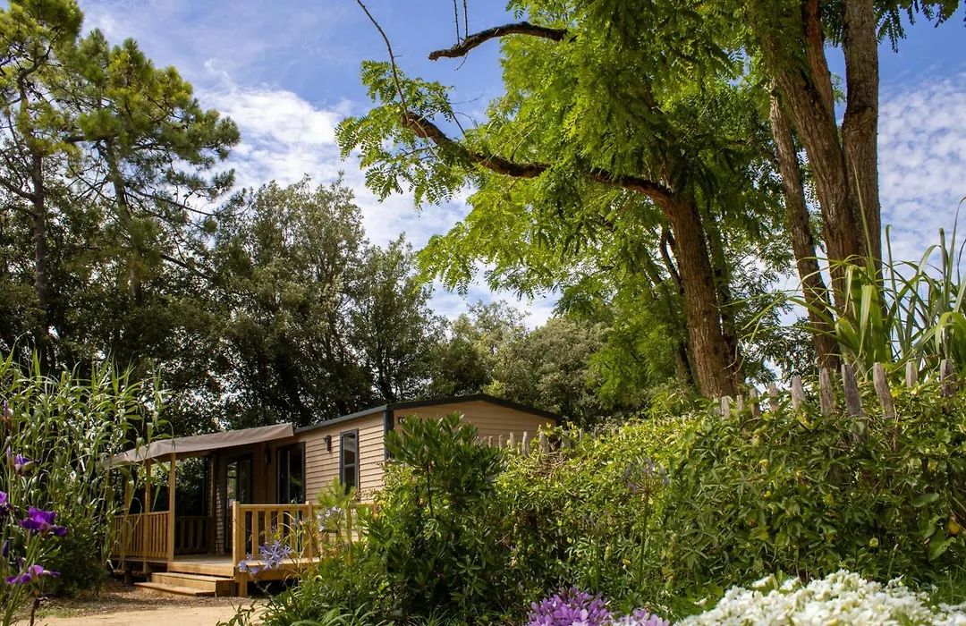 Camping Le Bois Verdon-1