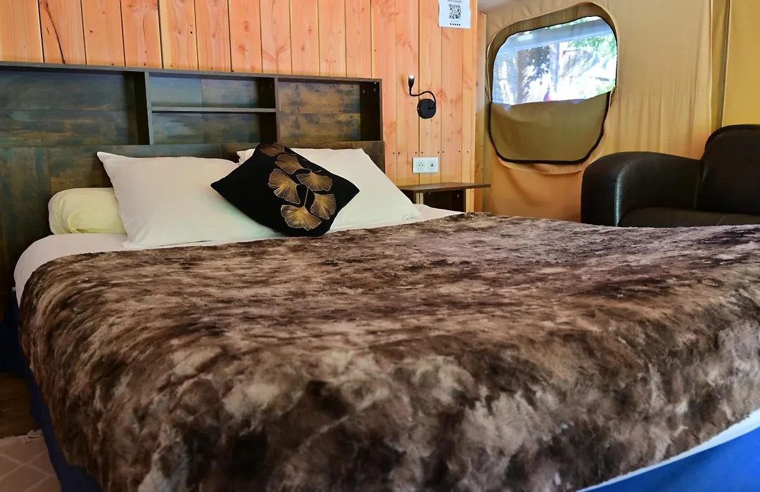 Prehistoric Lodge - Adult Only-1