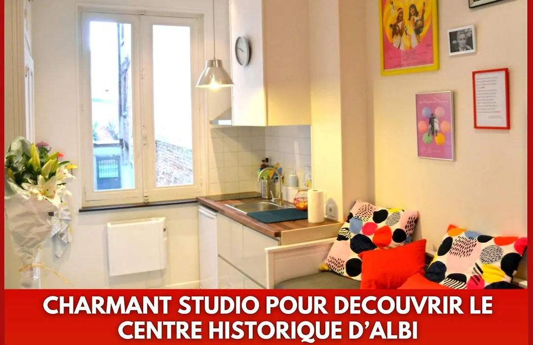 Un jour d'été à Albi-1