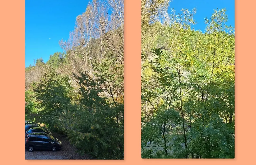 Calme et arboré, Studio 34-1