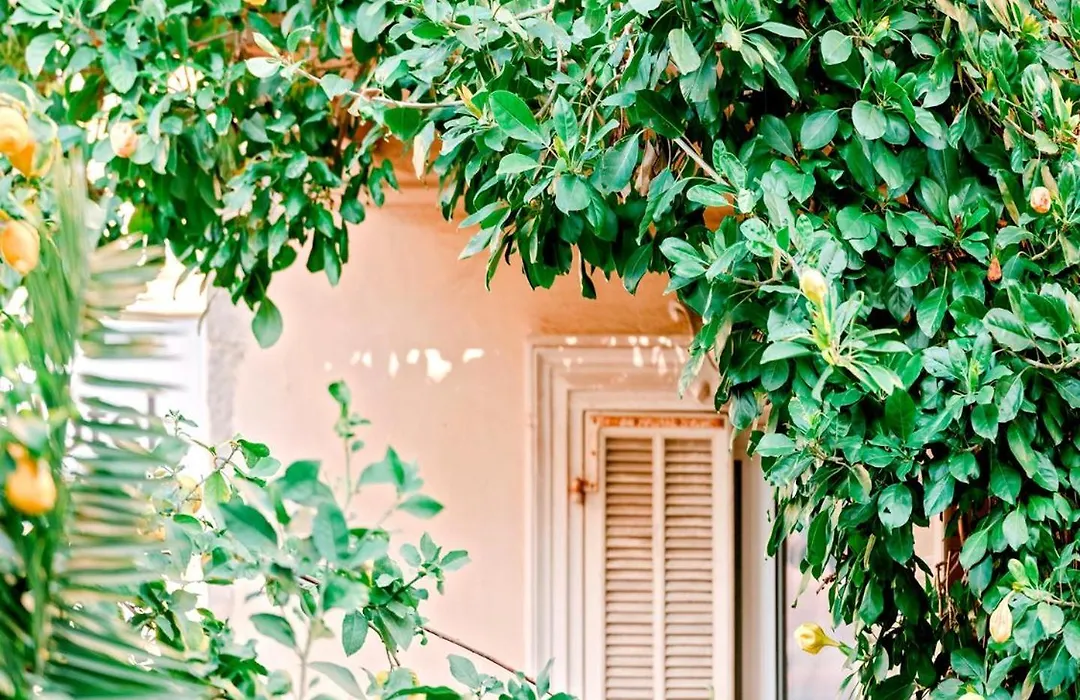 Hotel Lemon-1