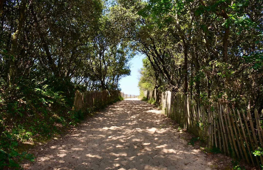 Camping Le Clos Des Pins-1