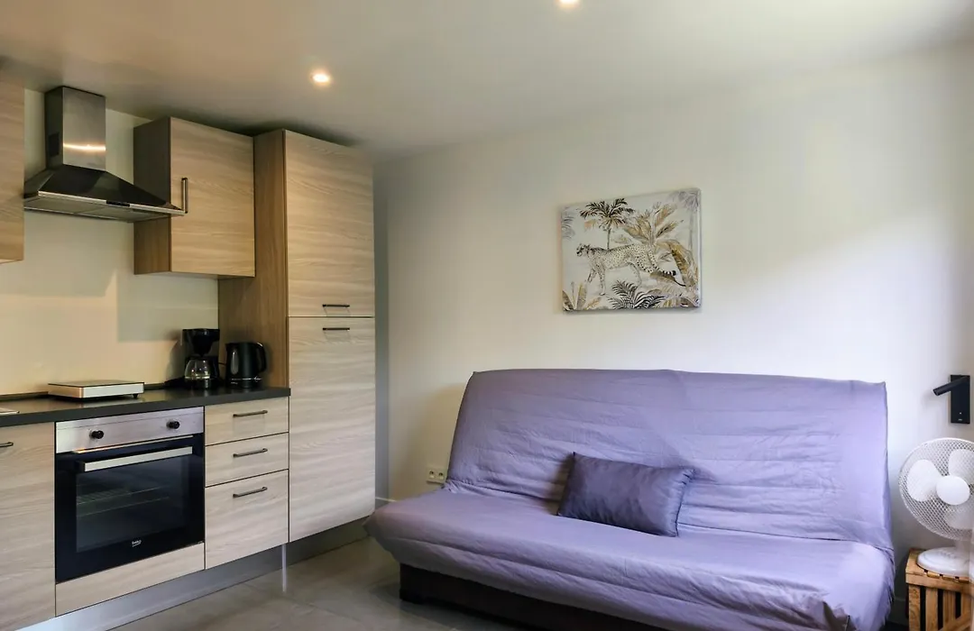Studio Occitanie 20 m2 tout équipé avec jardin-1