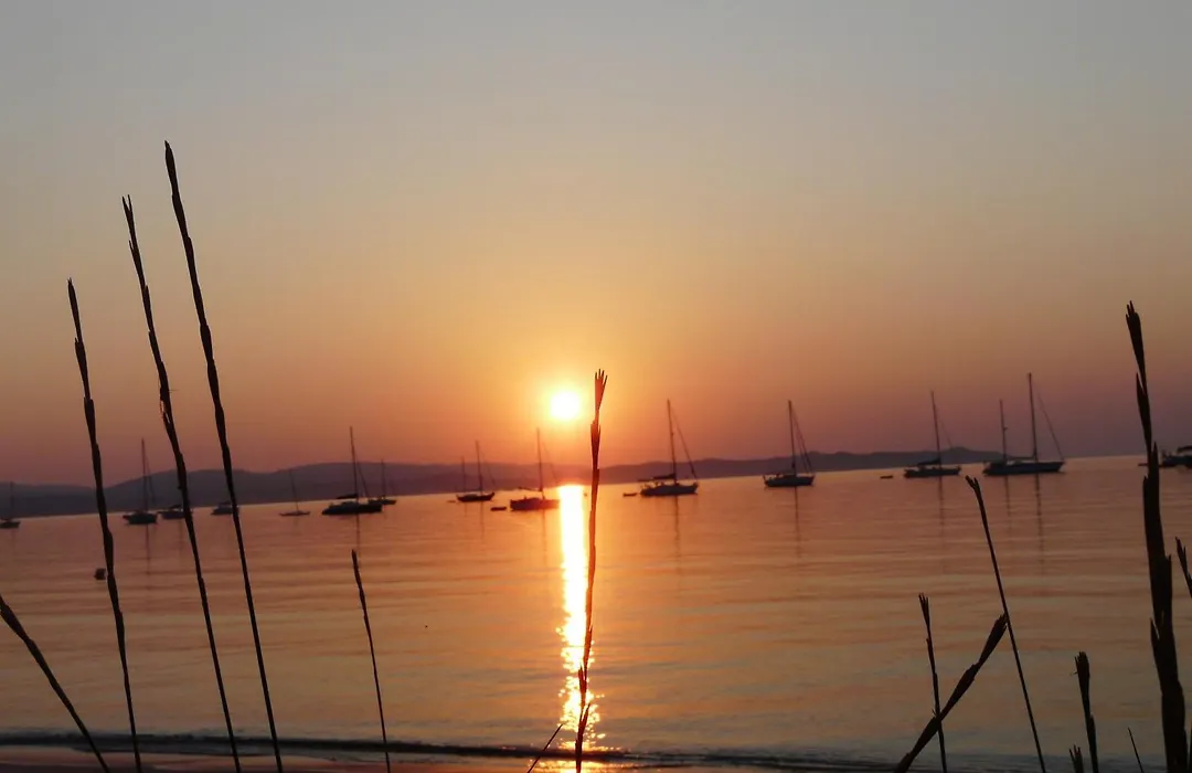 Le Surplage-1
