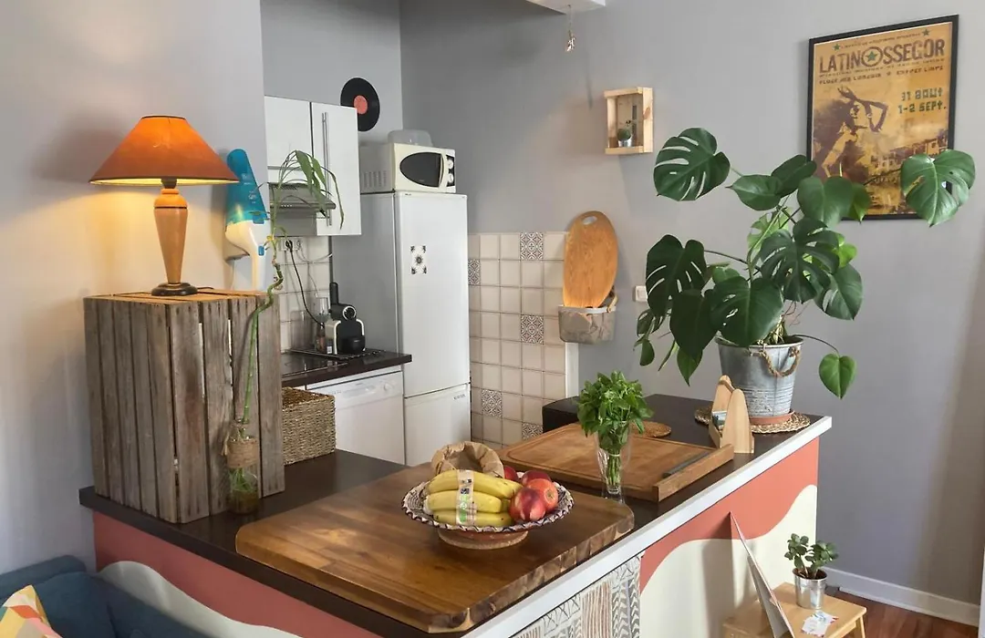 Bel appartement cosy à côté de l'Adour à Bayonne-1