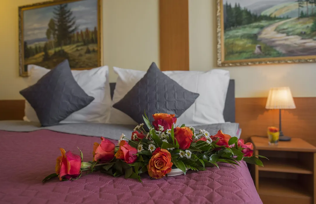 Top Hotel Praha-1