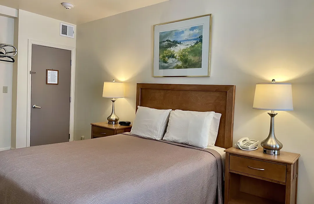Oasis Guest House-1