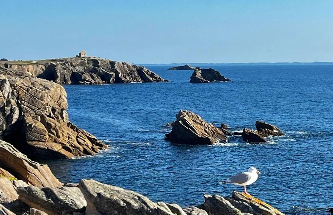 Quiberon: 2 pièces, balcon sud, animaux admis, parking étroit - FR-1-478-112-1