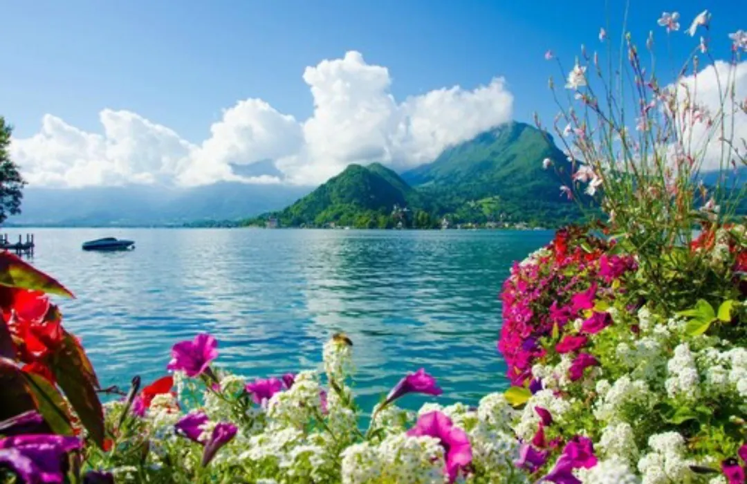 Ace Hotel Annecy-1