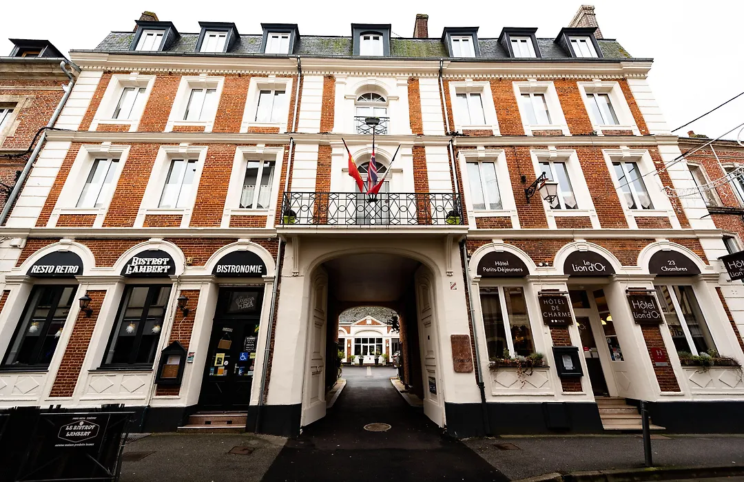 Hôtel Le Lion D'or-1