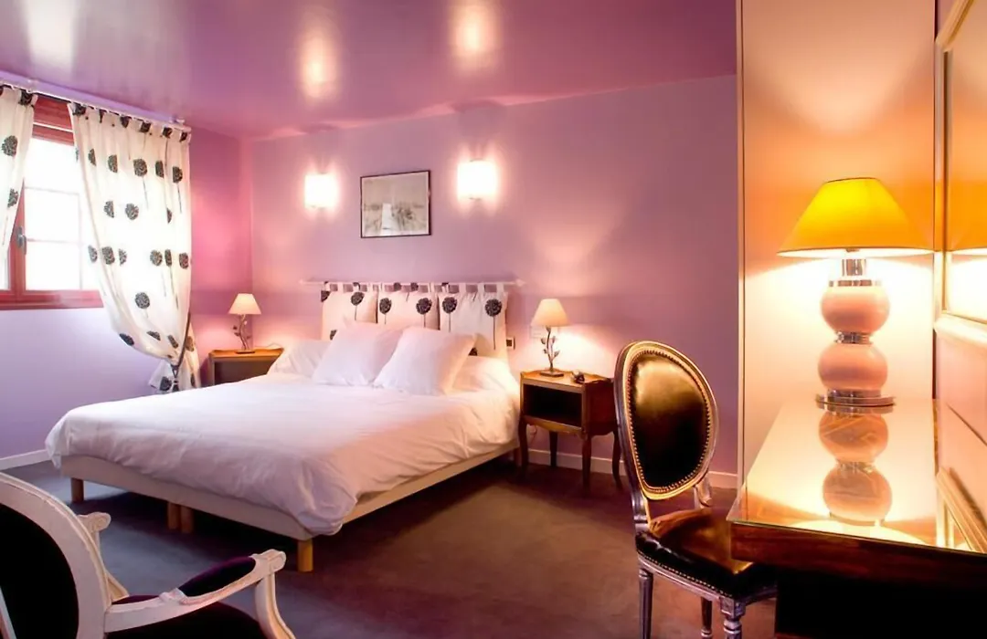 HOTEL LA COGNETTE A 25 Kilomètres de Châteauroux et 30 Kilomètres de Bourges-1