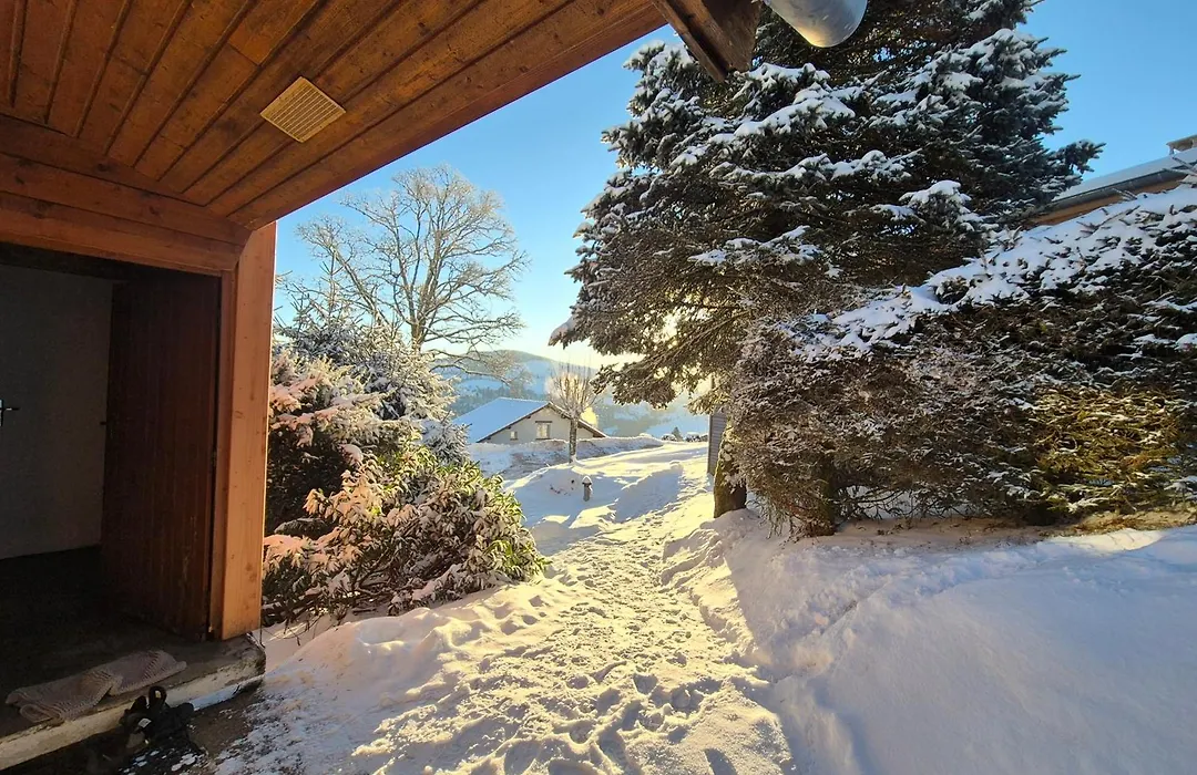 Chalet Les Jonquilles-1