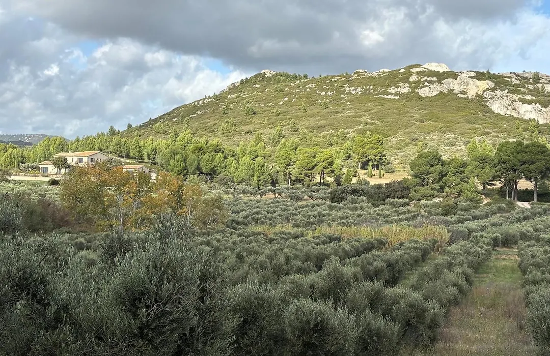 maison aux Baux de Provence-1