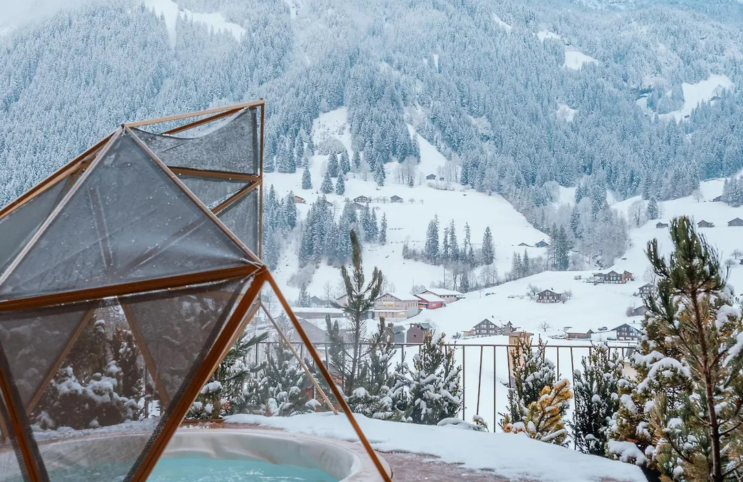 Boutique Hotel Glacier-1