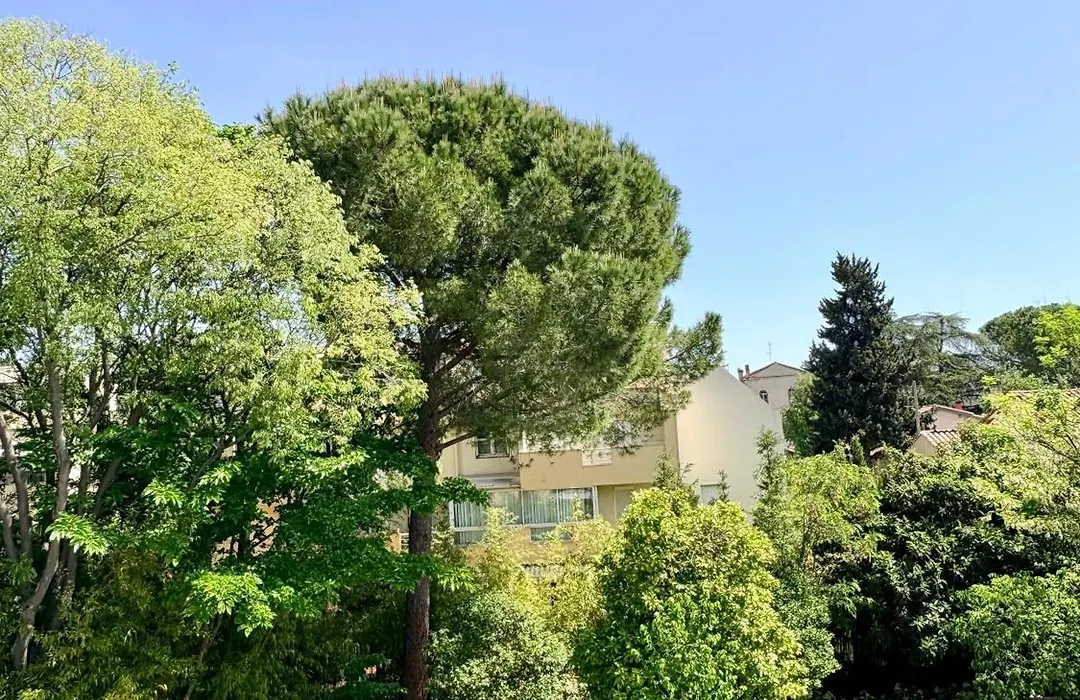 Appartement design au cœur de Montpellier avec parking privé-1