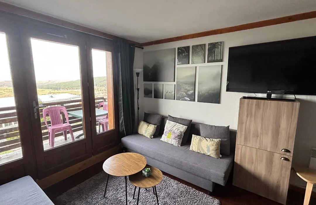 Lama-Gîte-des-Puys T3 Lamadalet, vue sud, terrasse, parking privé-1