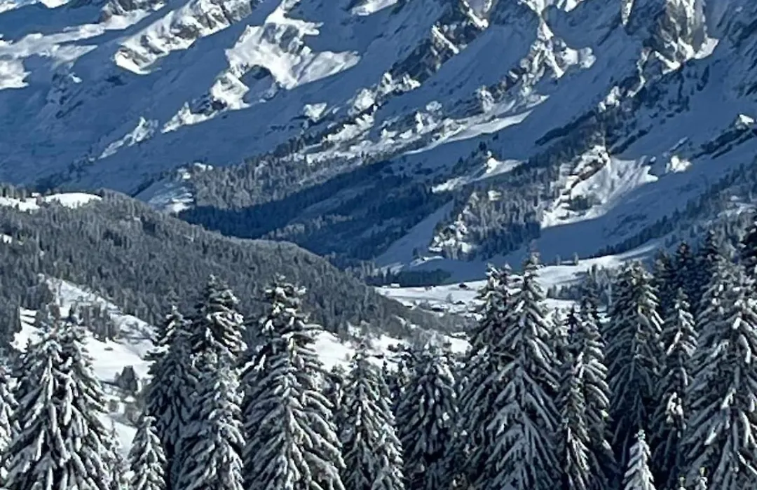 Appart LAPRESKI, vue montagne, spacieux&lumineux, Annecy, Lac&Aravis, La Clusaz-1