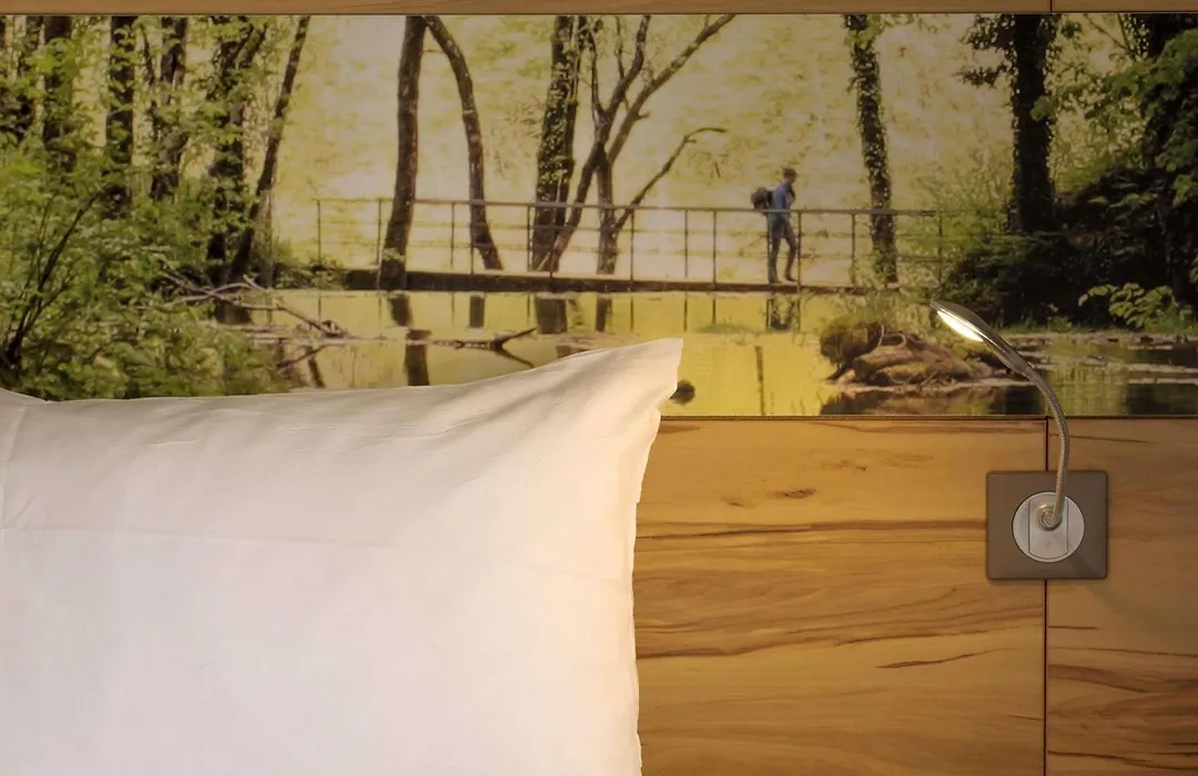 Ibis Styles Sarrebourg-1