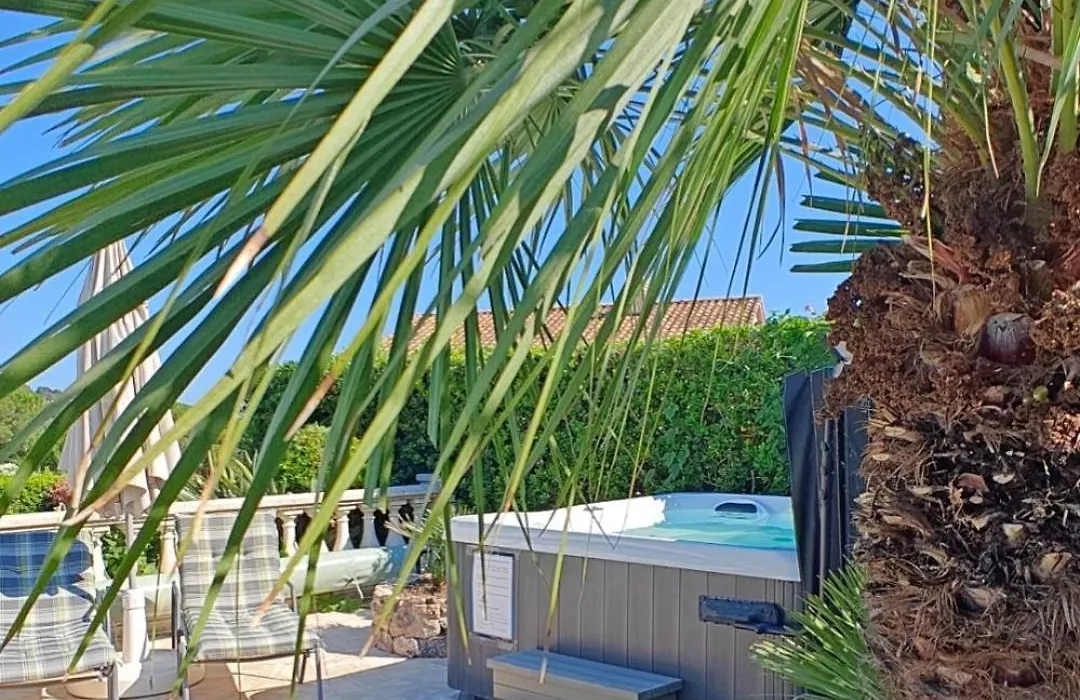VILLA PLEIN SUD-Piscine-Spa-Climatisation-Parking privé-calme et détente-1
