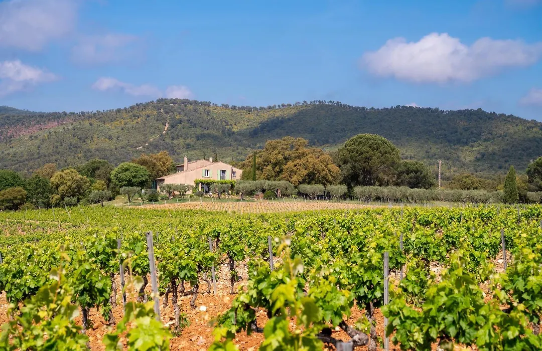 Magnifique villa avec piscine au coeur des vignes-1