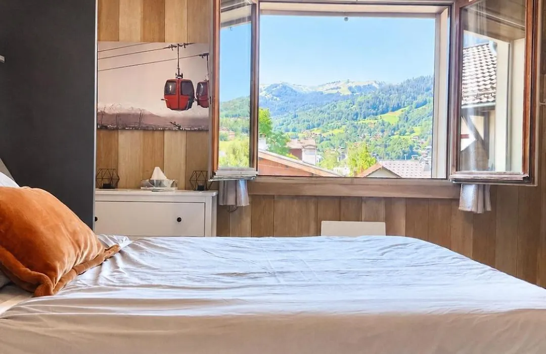 Appartements vue Mont-Joly à 2 pas Tramway Mont-Blanc - Studio 1 pièce-1