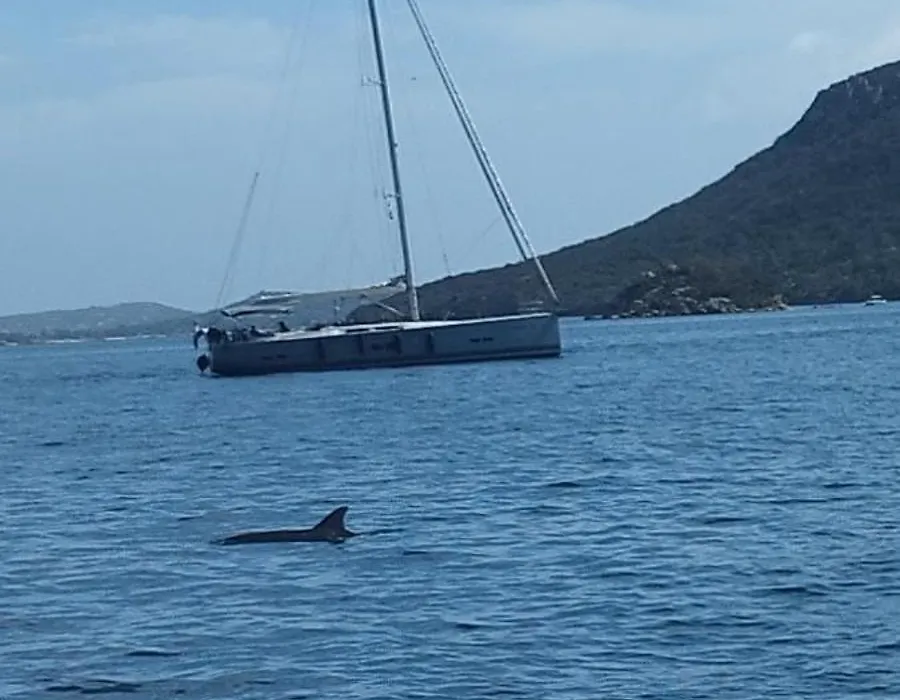 stlocavoile Seuls à bord au port-1