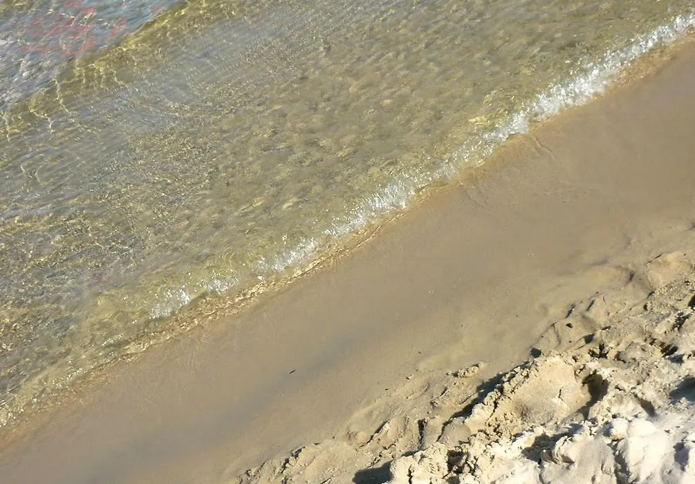 Carisma Holidays - Biscarrosse-1