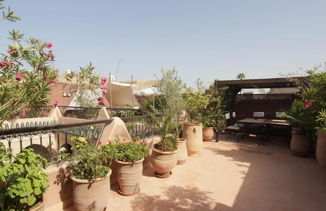 Riad Massiba-1
