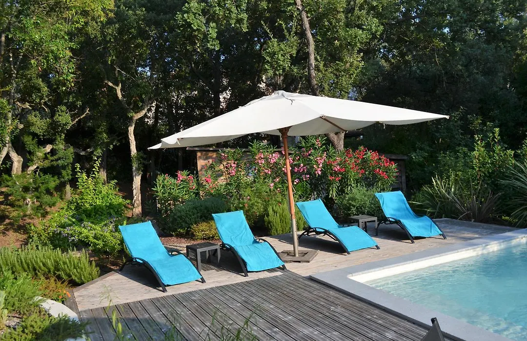 B&B La Palatine-1