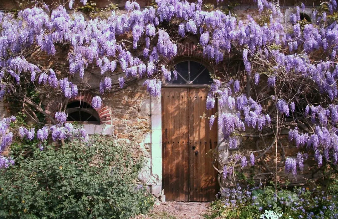 Chambres d'hôtes Le Clos d'Hauteville-1
