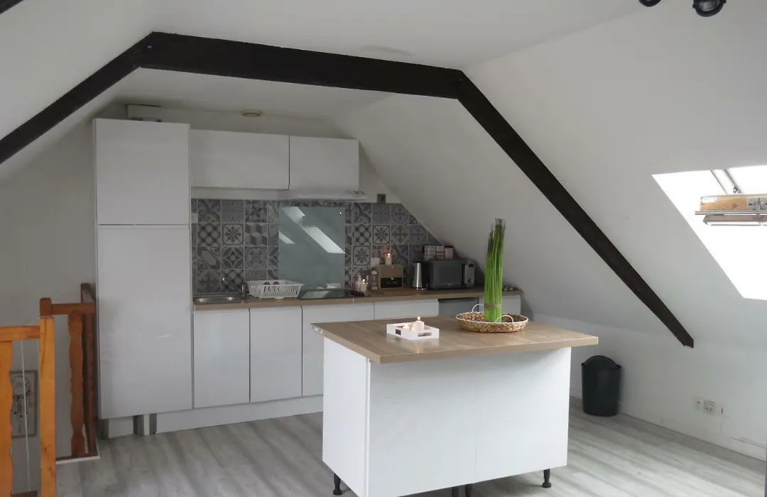 Bel Appartement Paimpol-1