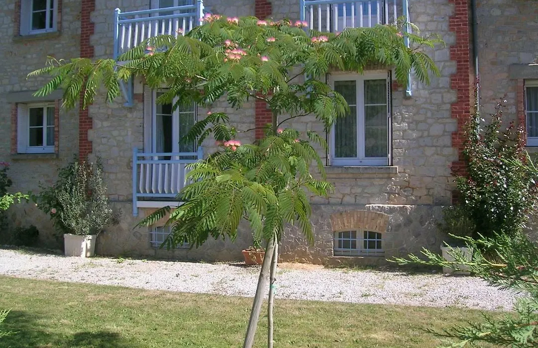 Appartements Villa Odette-1