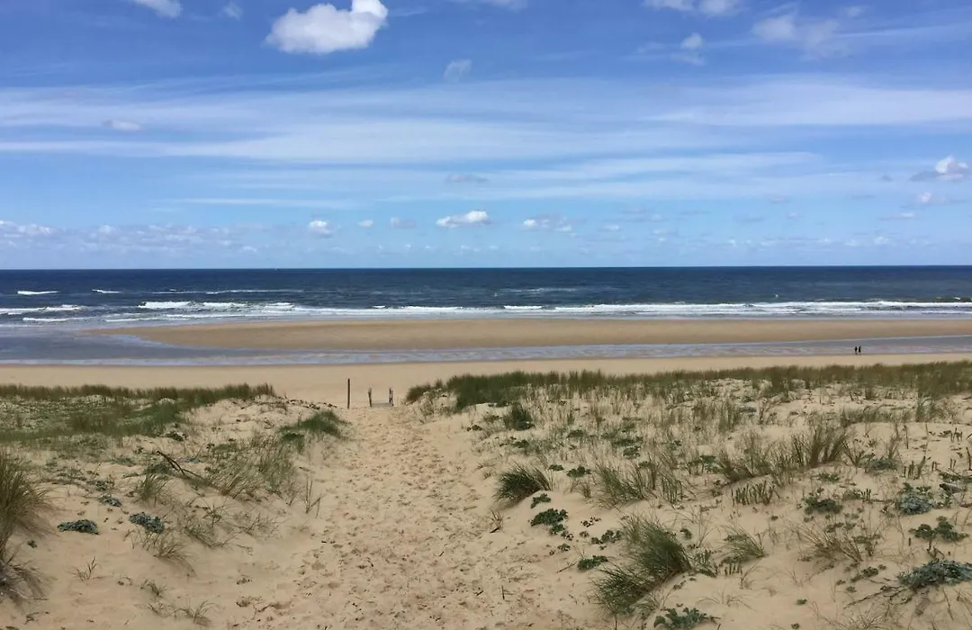Etoile De Mer 5-1