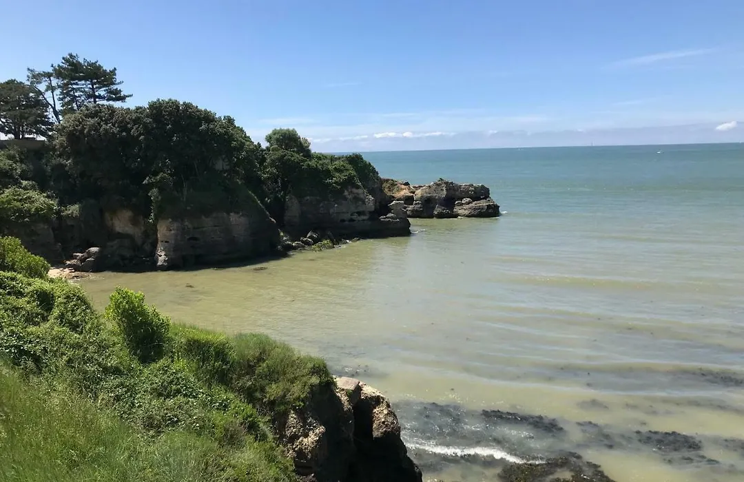 26 Avenue Des Tilleuls-1