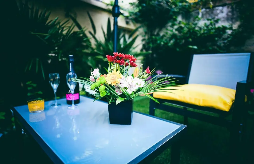 Oasis Anjou-1