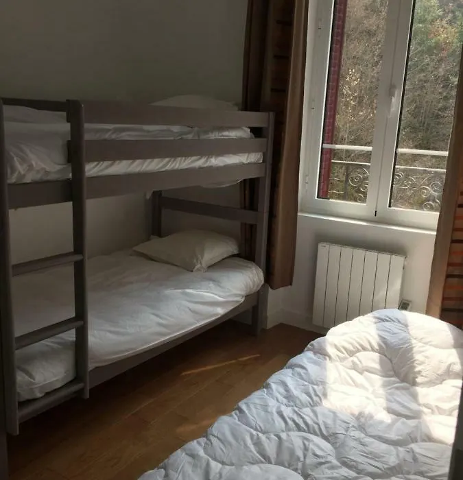 Magnifique et lumineux appartement au cœur du Sancy-1
