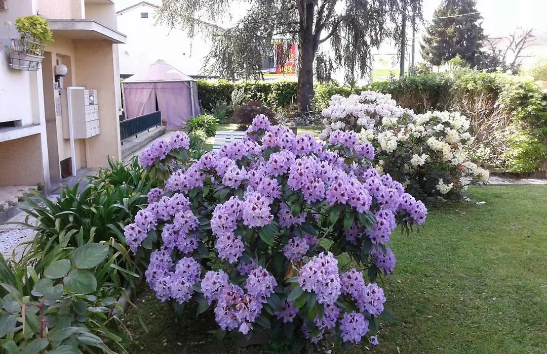 Les Floralies-1