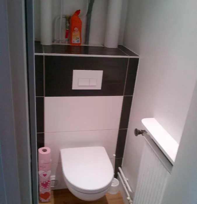 Appartement 250 mètres des pistes gourette-1