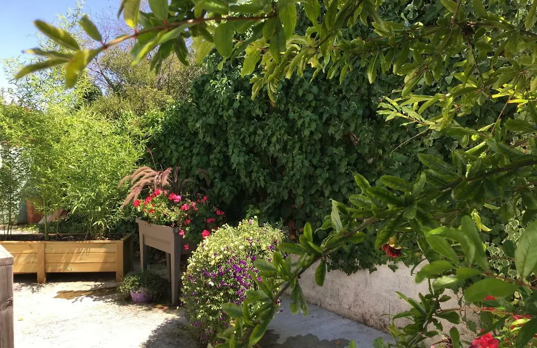 Petit Studio De L'Ermitage-1