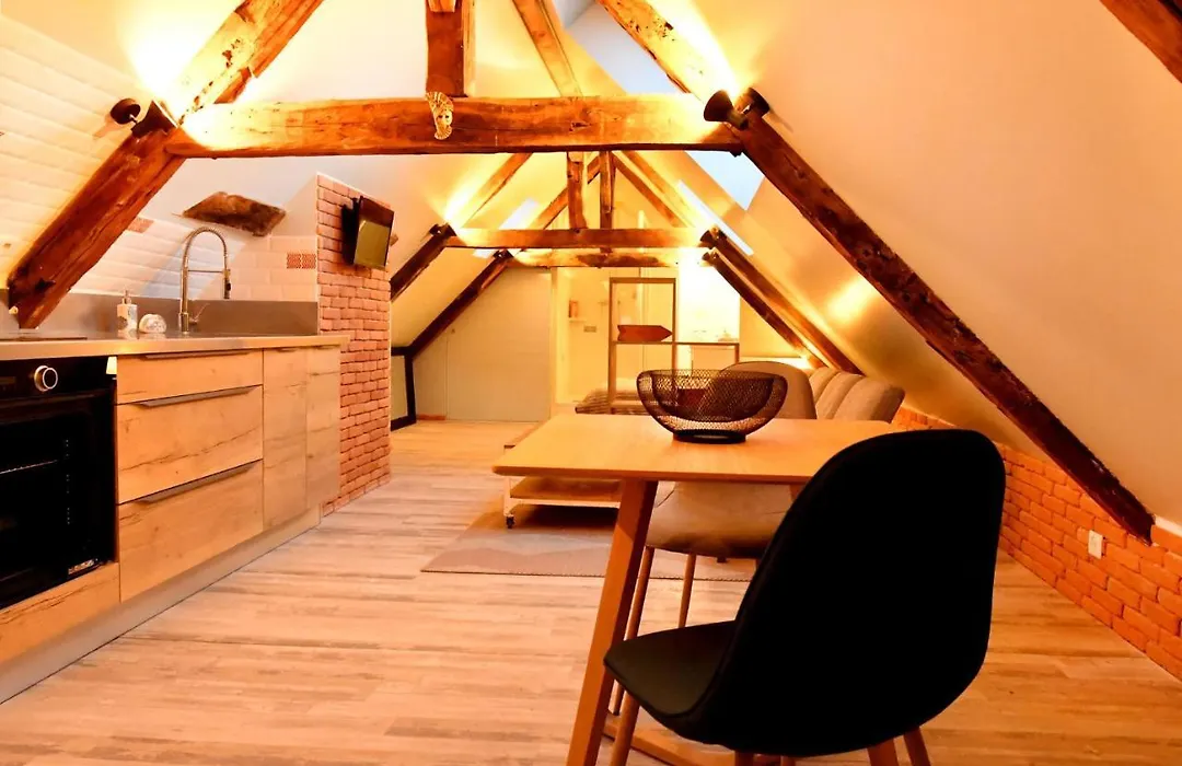 Loft Sous Les Combles - Loft Under The Rafter-1