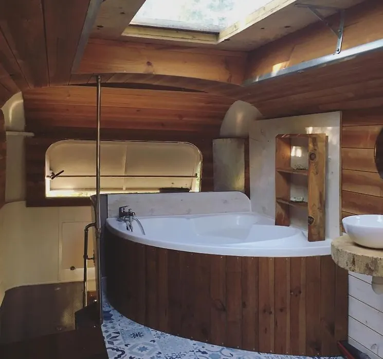 Cosmic English Bus 2 Floor-1