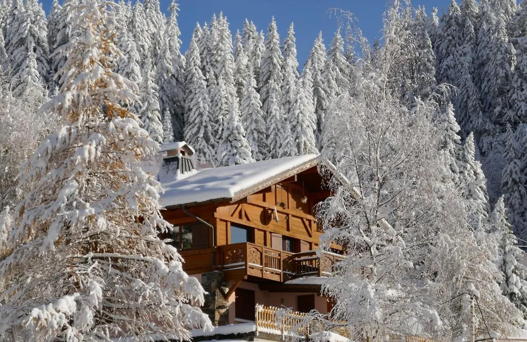 Les Saisies coté Légette appartement dans chalet LE NEPAL-1