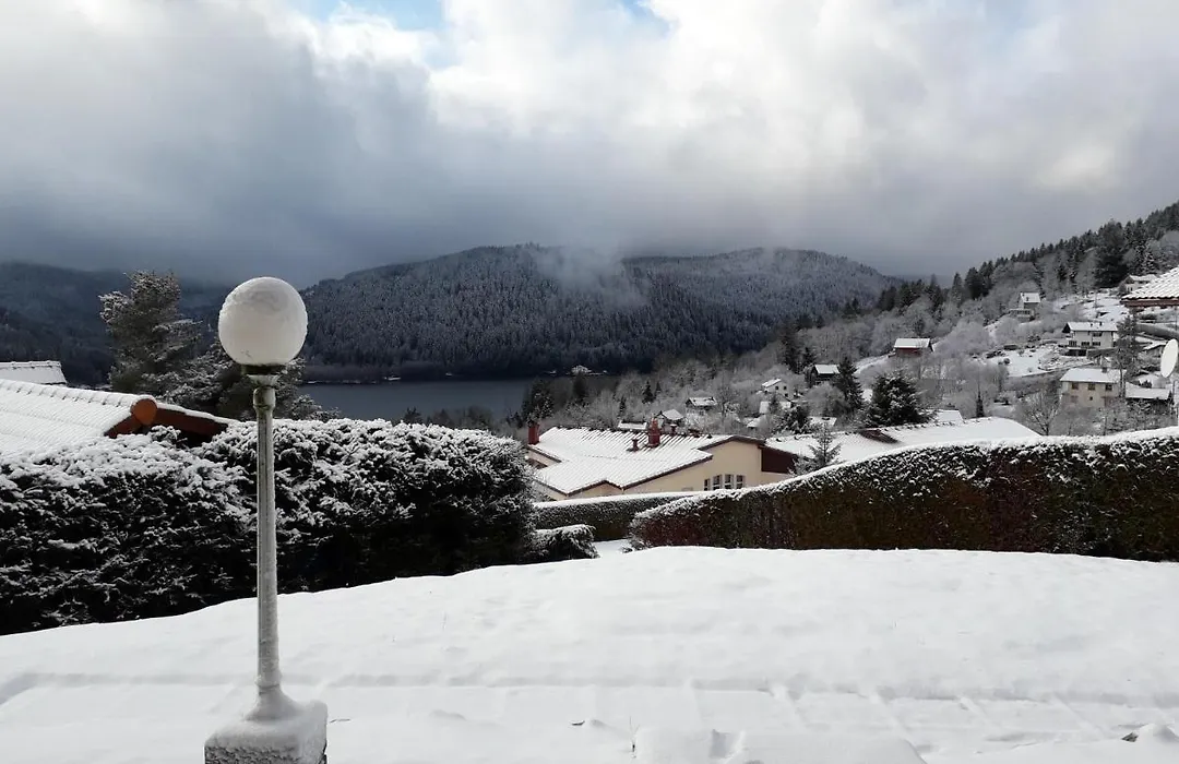 Gerardmer Lac Et Montagne-1